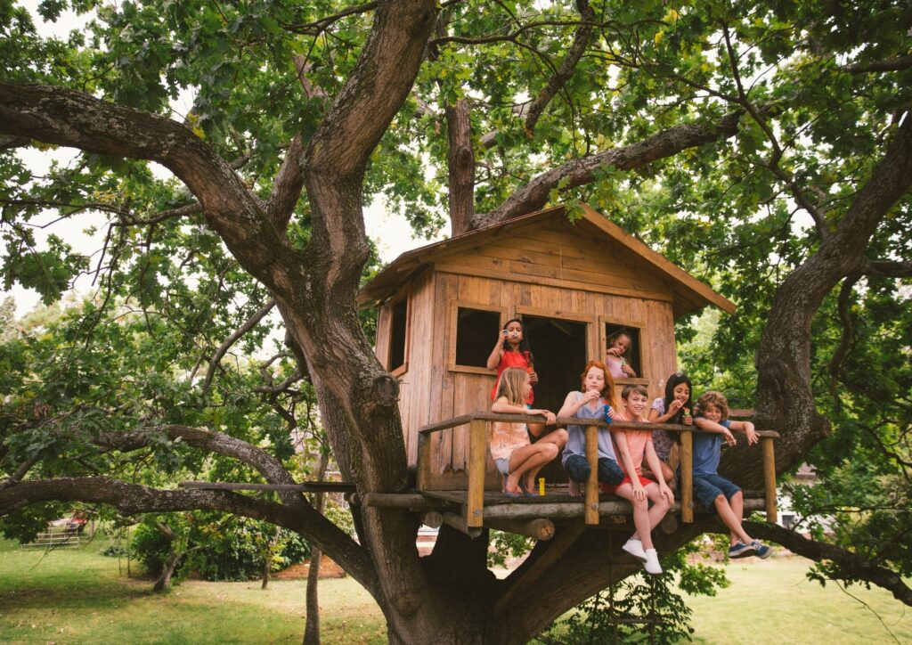 Building Treehouse