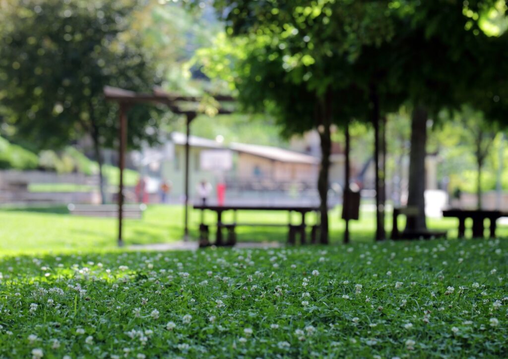 Preschool Outdoor