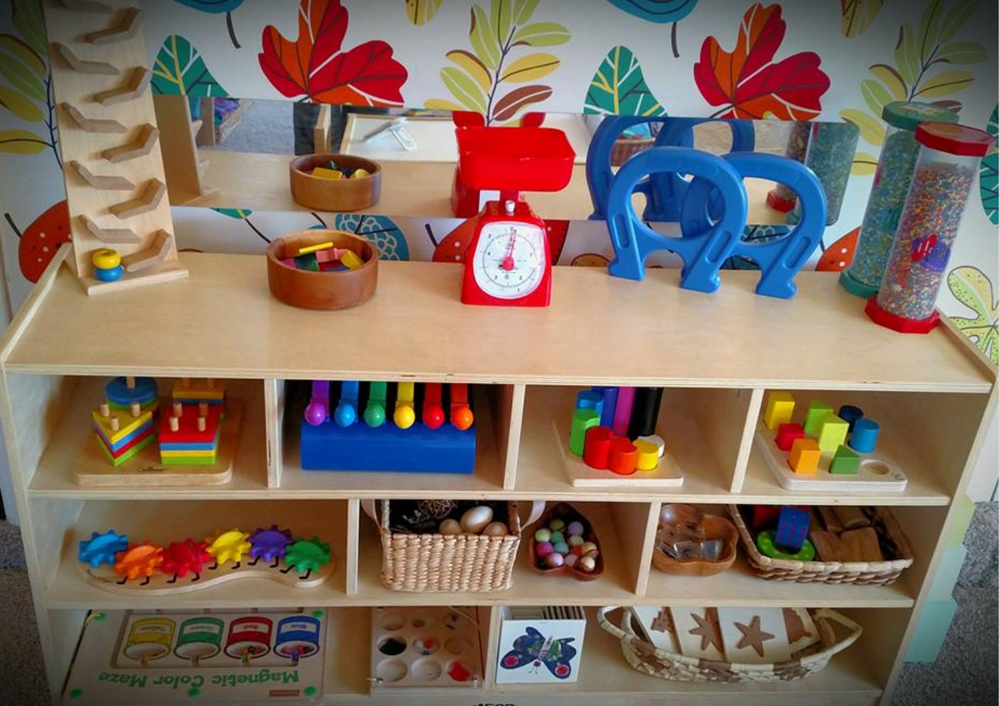 Preschool Science Center