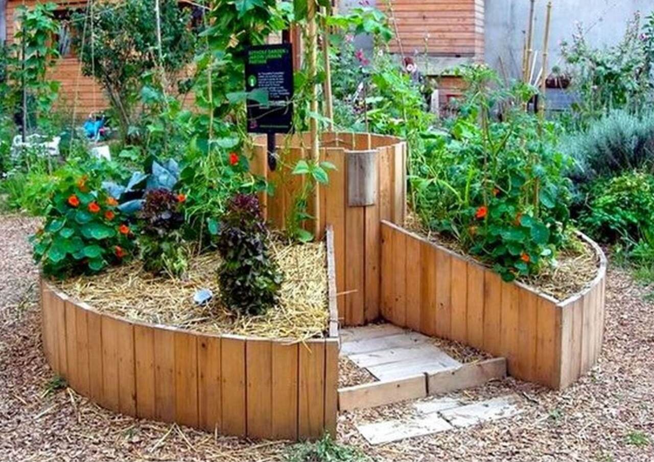 Sensory Garden