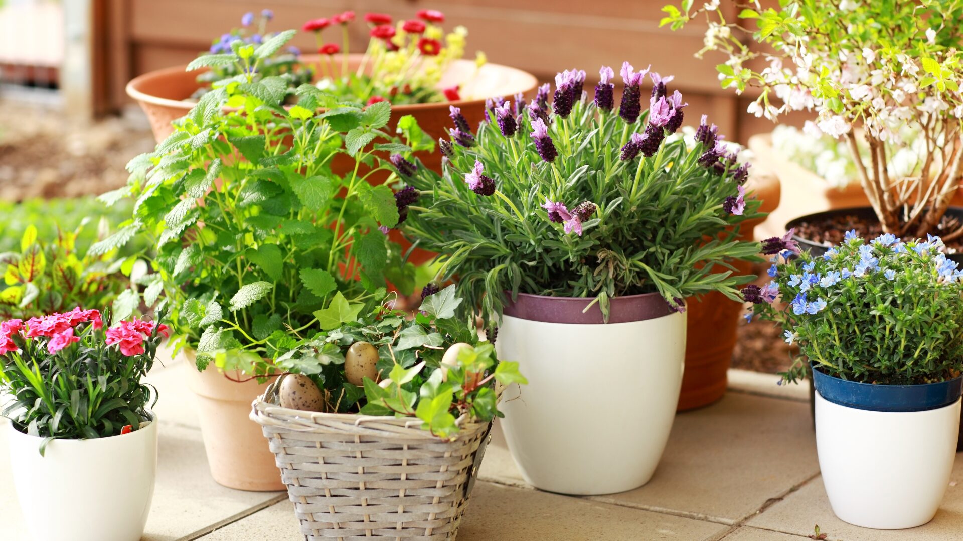 Eco Friendly, Tips, Childcare, Daycare, Sustainable, Decor, Design